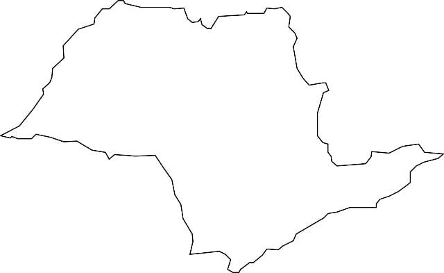 Mapa San Paulo-wektor